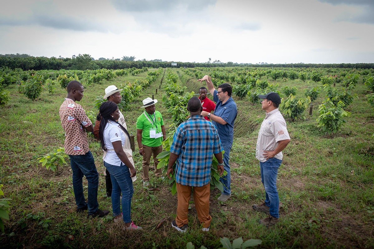 Ecua 3
