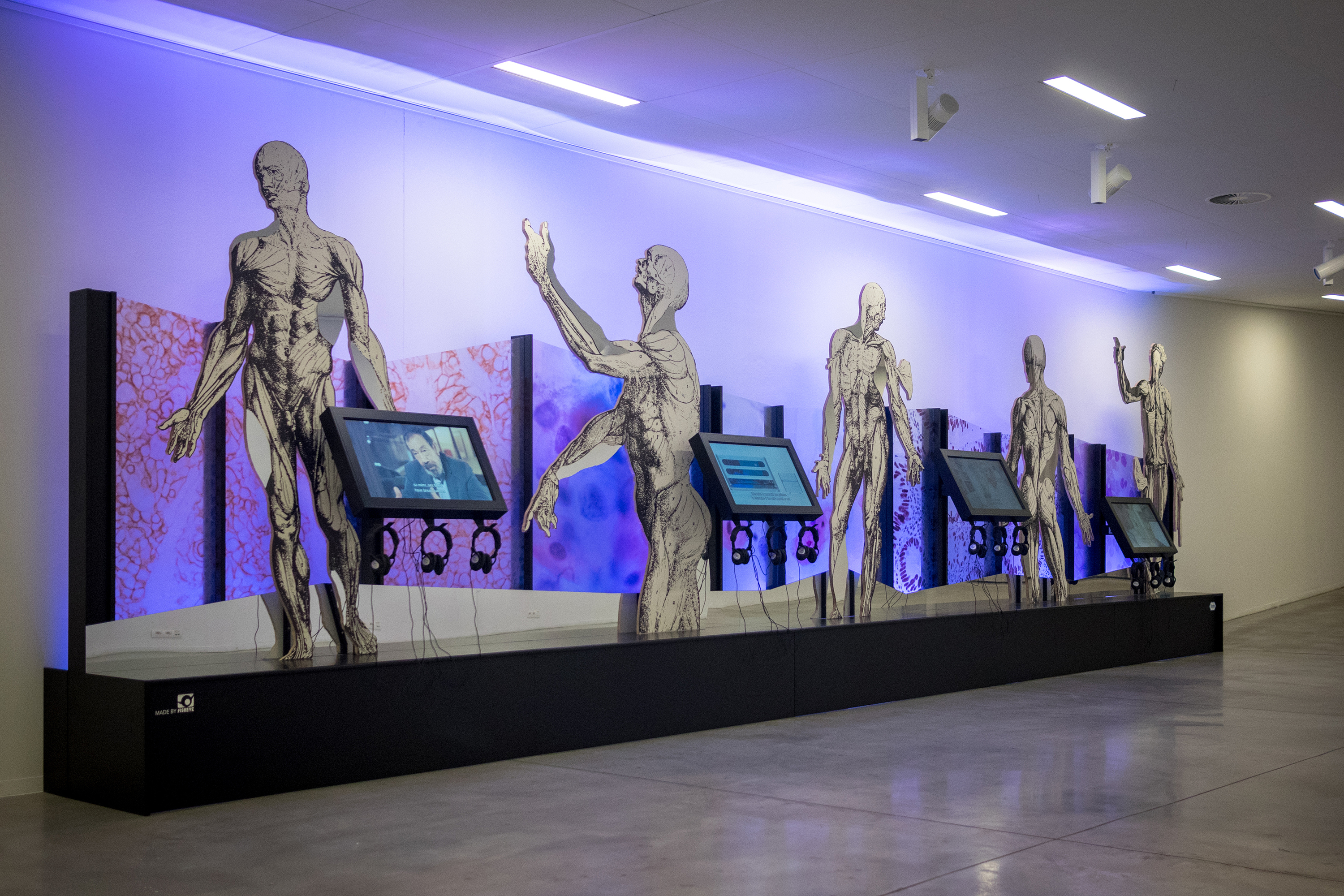Museum M 0