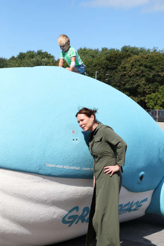 Walvis Greenpeace Duinenplein 006